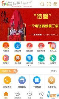 林州爆料新闻网站最新,聚焦民生热点,揭示社会现象