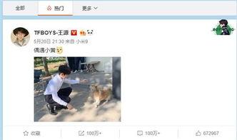 王暖暖最新爆料微博,娱乐圈幕后真相大曝光！”  第3张