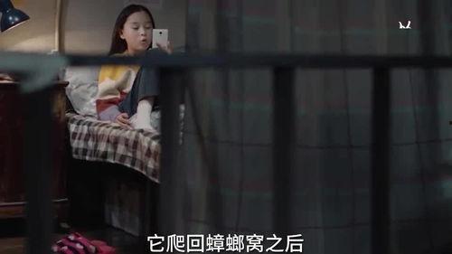 小孩爆料瞬间视频大全集,小孩爆料视频集锦回顾