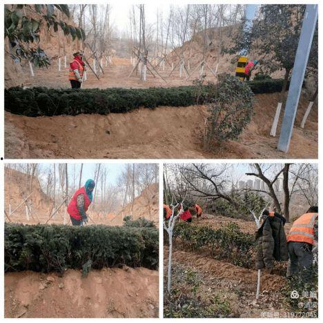 黄河公园爆料事件视频,惊现惊人一幕,网友热议不断  第3张 黄河公园爆料事件视频,惊现惊人一幕,网友热议不断  第3张