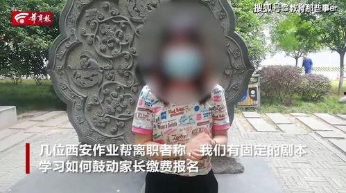 杀猪盘爆料完整视频,完整视频曝光诈骗手段  第2张 杀猪盘爆料完整视频,完整视频曝光诈骗手段  第2张