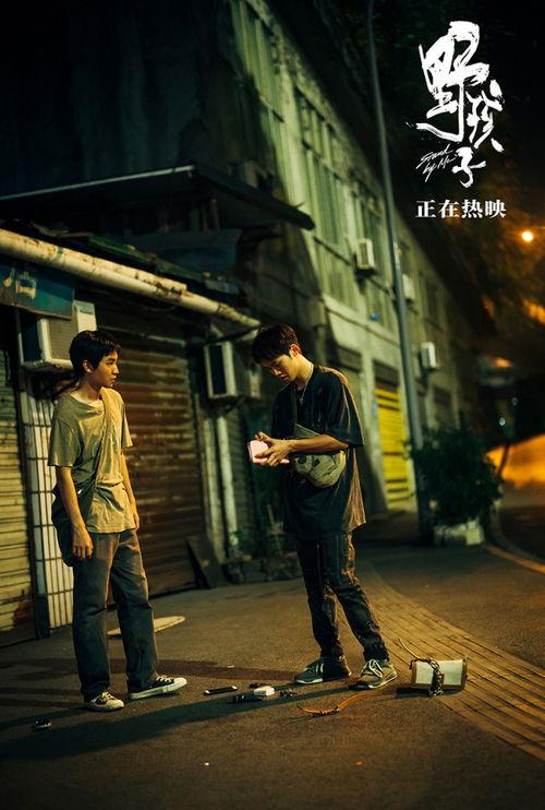 野孩子电影在线观看,探寻自然与成长的奇幻之旅  第3张 野孩子电影在线观看,探寻自然与成长的奇幻之旅  第3张