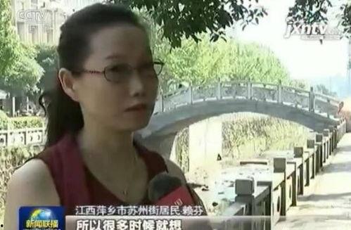 丹东都市爆料新闻视频,最新视频揭露惊人内幕  第3张 丹东都市爆料新闻视频,最新视频揭露惊人内幕  第3张