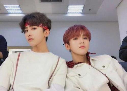 圈内爆料招同台刘耀文,圈内爆料引粉丝热议  第3张 圈内爆料招同台刘耀文,圈内爆料引粉丝热议  第3张