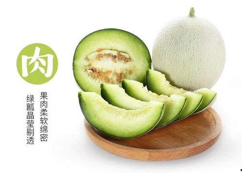 网红吃的网纹瓜,网纹瓜,口感与颜值并存的美味之旅  第2张 网红吃的网纹瓜,网纹瓜,口感与颜值并存的美味之旅  第2张