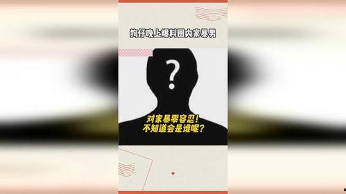 狗仔晚上爆料娱乐圈家暴,真相与反思  第3张 狗仔晚上爆料娱乐圈家暴,真相与反思  第3张