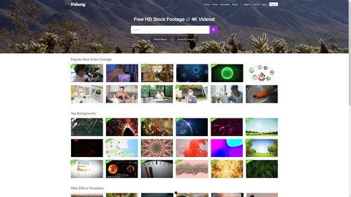 小吃爆料视频下载安装,轻松享受美食瞬间  第2张 小吃爆料视频下载安装,轻松享受美食瞬间  第2张