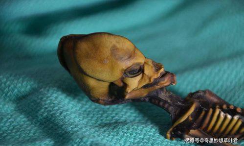 外星人最新爆料  第2张